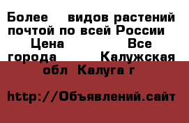 Более200 видов растений почтой по всей России › Цена ­ 100-500 - Все города  »    . Калужская обл.,Калуга г.